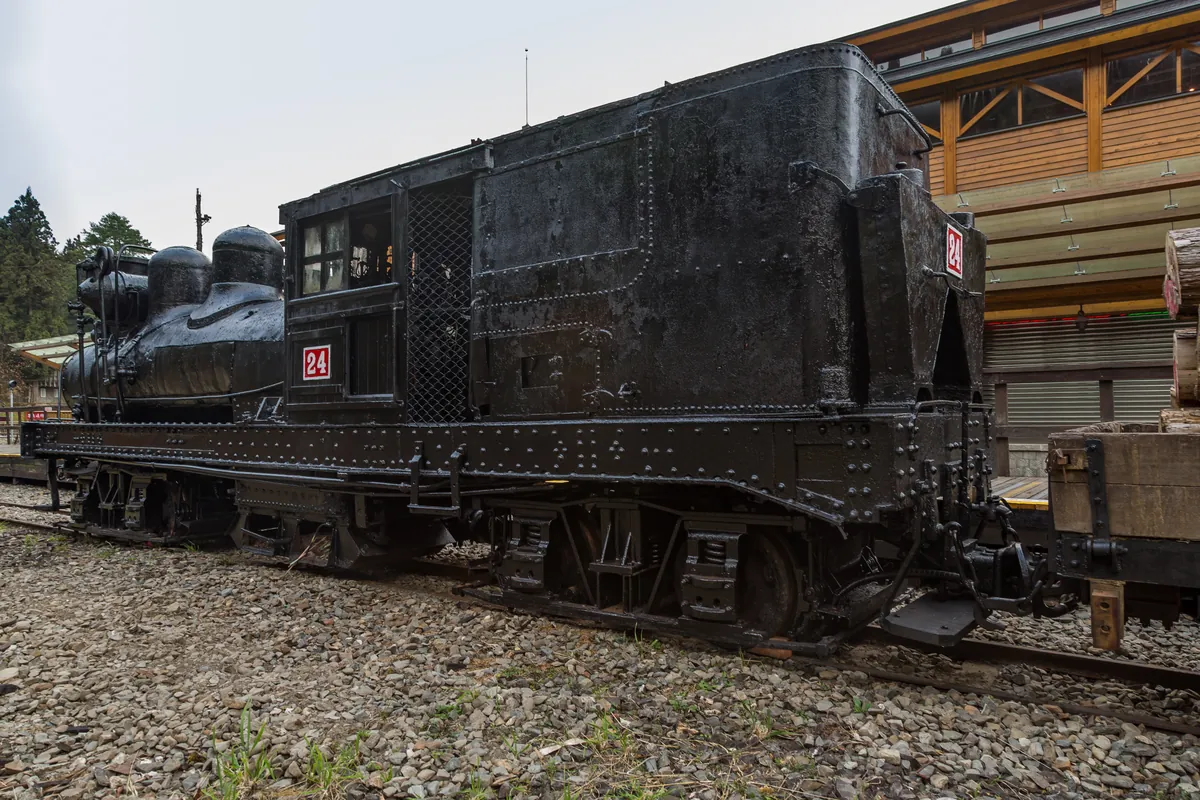 A train on the Alishan Forest Railway in the cypress forest
